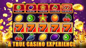 vet88